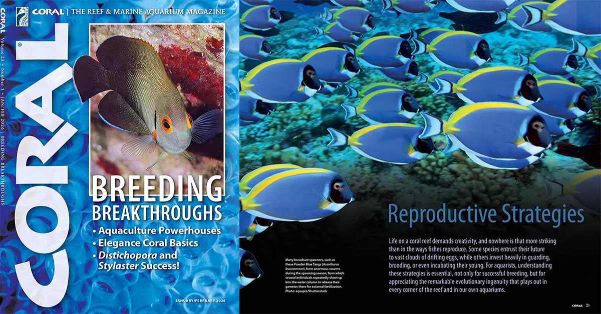 Breeding Breakthroughs / CORAL Magazine Review