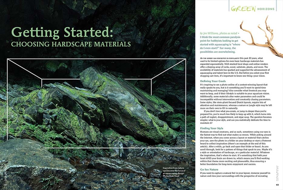 The Flat and the Curious / AMAZONAS Magazine: Choosing Hardscape Materials