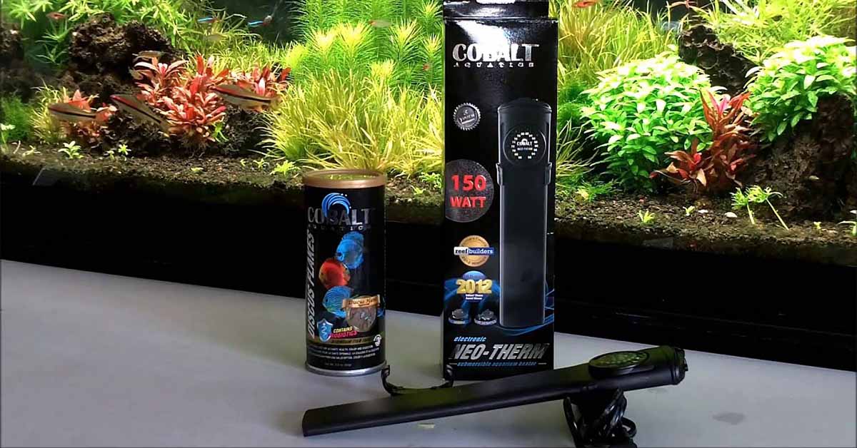 Akvaryum Isıtıcı Seçimi / Kobalt ve Polimer Akvaryum Isıtıcıları