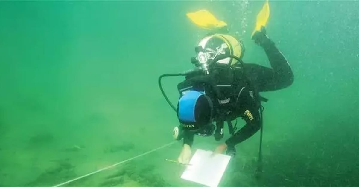 Coral Communities off the Shores of the Prince Islands