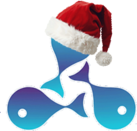 Reef Network New Year Logo