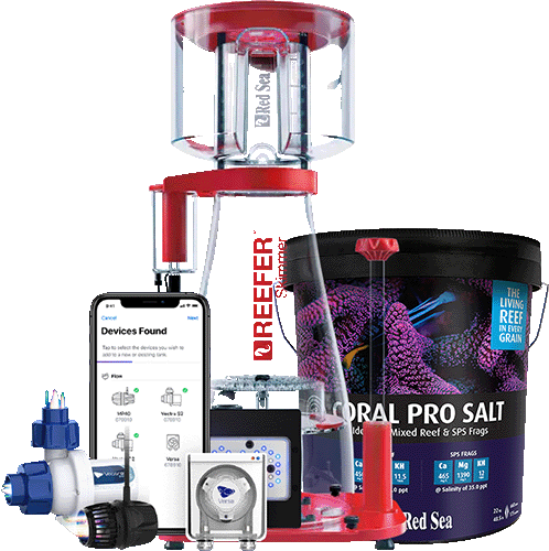 Reef Network Saltwater Aquarium Marketplace