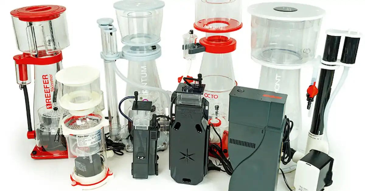 How Many Fish Can Fit in an Aquarium? 2026 Modern Guide Protein Skimmer